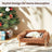 Raised Wooden Leg Cat Sofa Bed