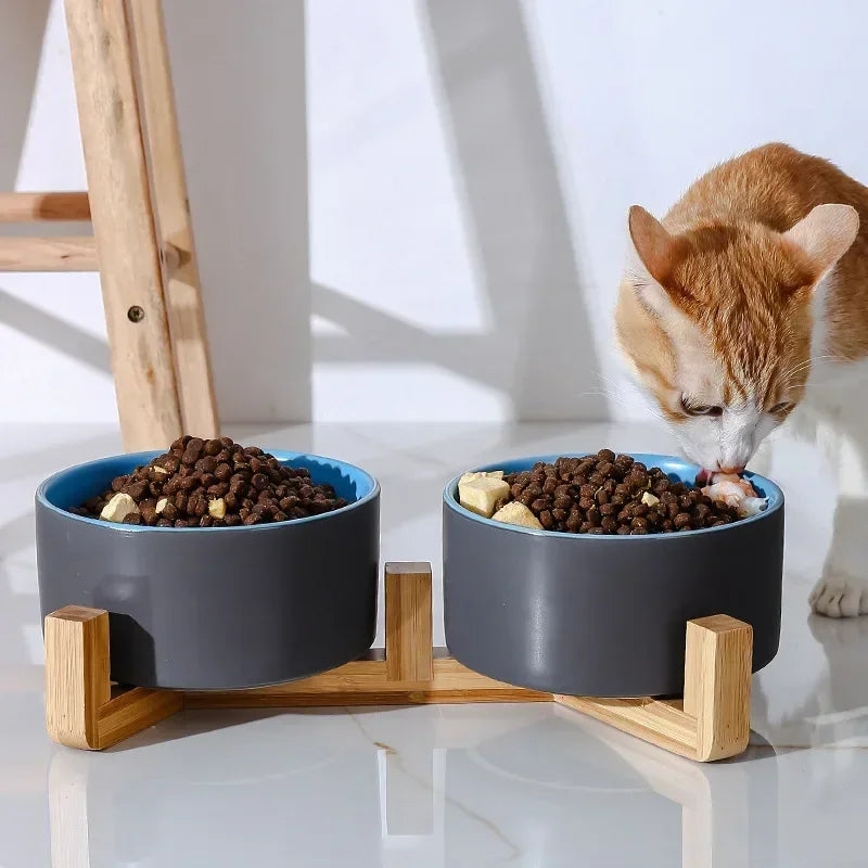 Ceramic Double Cat Bowl Set