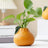 Fruit-Shaped Ceramic Bud Vase
