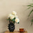 Monochrome Sea Anemone Ceramic Vase