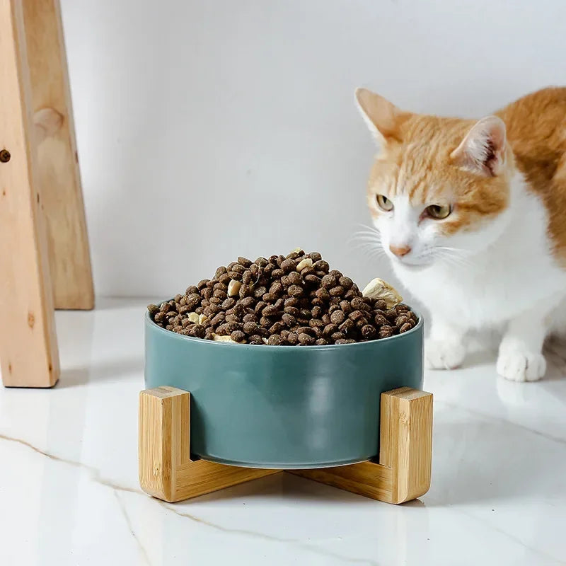 Ceramic Double Cat Bowl Set