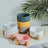 Ceramic Double Cat Bowl Set