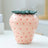 Strawberry Ceramic Vase
